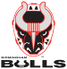 Birmingham Bulls