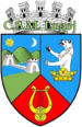 CSM Lugoj