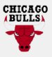 Chicago Bulls (22)