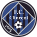 FC Academica Clinceni