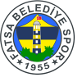 Fatsa Belediyespor