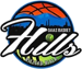 DAAS Basket Hills Bielsko-Biala
