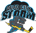 Quad City Storm