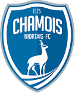 Chamois Niortais FC