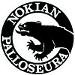 Nokian Palloseura