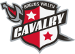 Brazos Valley Cavalry FC