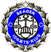 Skagen IK