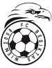 FC Besiktas Wien