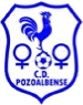 CD Pozoalbense