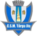 CSM Târgu Jiu