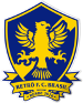 Retrô FC Brasil