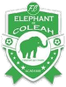 Eléphant de Coléah