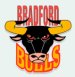 Bradford Bulls