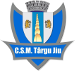 CSM Târgu Jiu