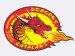 Catalans Dragons