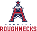 Houston Roughnecks