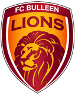 FC Bulleen Lions