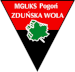 Pogon Zdunska Wola