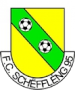 FC Schifflingen 95