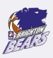 Brighton Bears