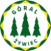 TS Czarni-Góral Zywiec