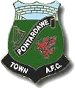 Pontardawe Town FC