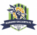 Marumo Gallants FC