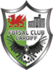 Futsal Club Cardiff