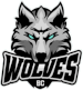BC Wolves Vilnius