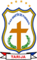 Deportivo San Martín de Porres